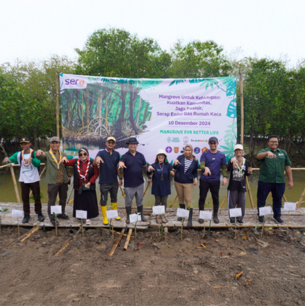 SERA Plants 20,000 Mangroves