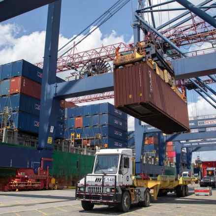 This Year’s Logistics Sector Expected to Grow by 20% Compared to Last Year