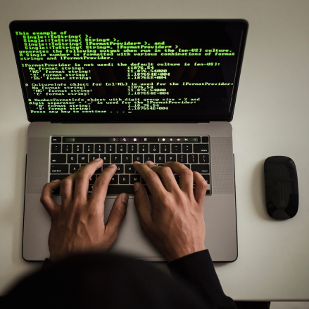 Know the Difference: Programmers vs. Developers