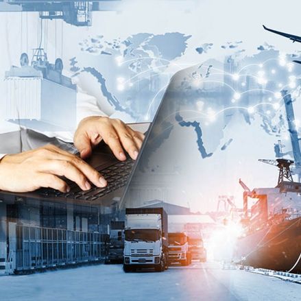 The Logistics Industry Blooms in the Digital Era